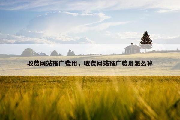 收费网站推广费用，收费网站推广费用怎么算