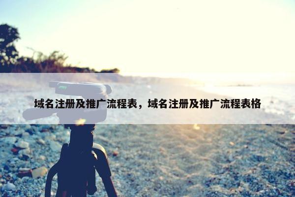域名注册及推广流程表，域名注册及推广流程表格