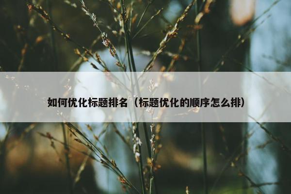 如何优化标题排名（标题优化的顺序怎么排）