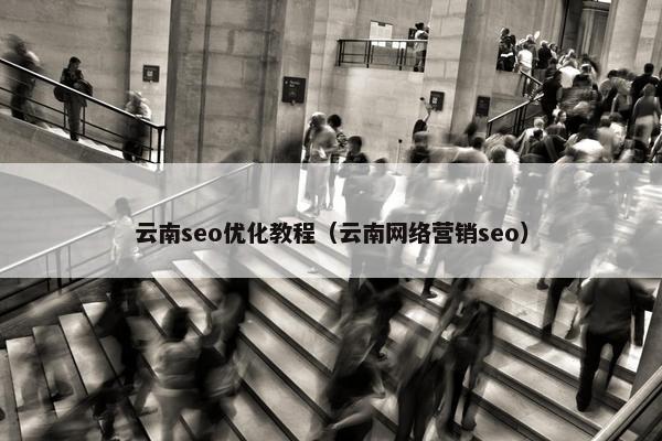 云南seo优化教程（云南网络营销seo）