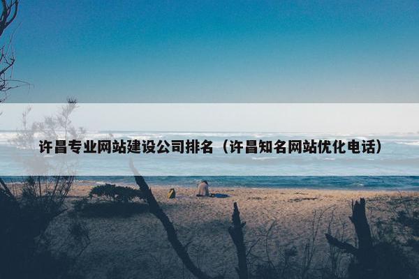 许昌专业网站建设公司排名（许昌知名网站优化电话）