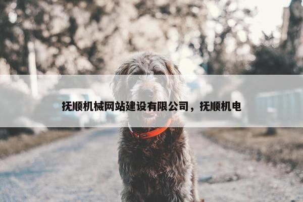 抚顺机械网站建设有限公司，抚顺机电