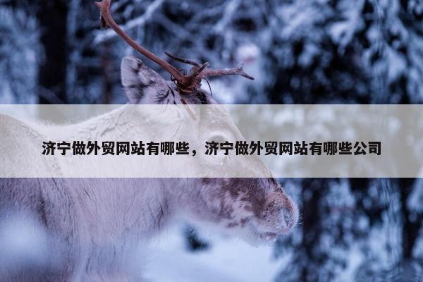 济宁做外贸网站有哪些，济宁做外贸网站有哪些公司