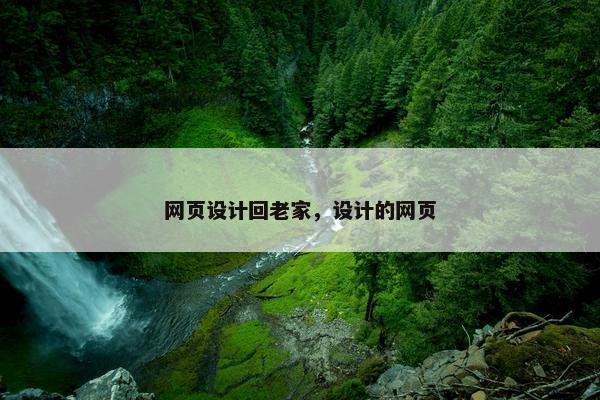 网页设计回老家，设计的网页