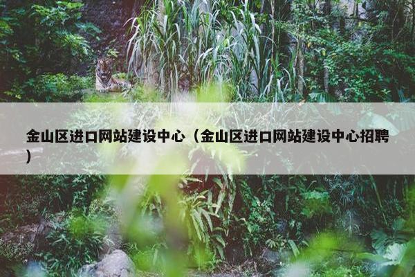 金山区进口网站建设中心（金山区进口网站建设中心招聘）