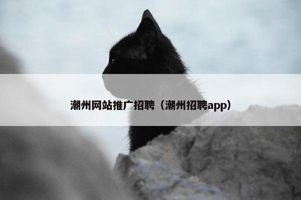 潮州网站推广招聘（潮州招聘app）