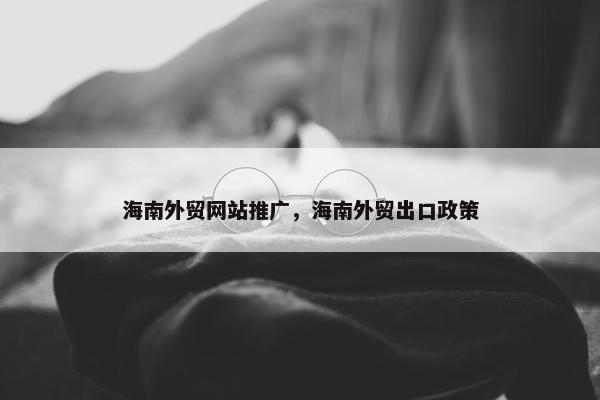 海南外贸网站推广，海南外贸出口政策