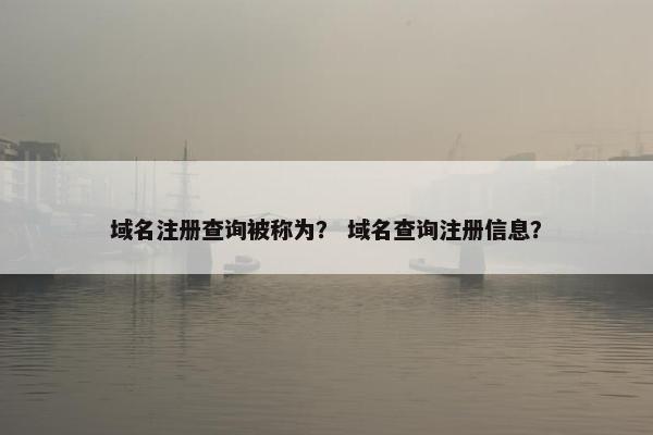 域名注册查询被称为？ 域名查询注册信息？
