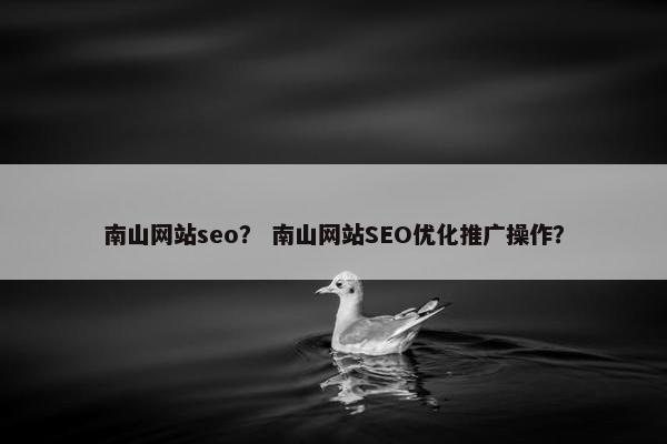 南山网站seo？ 南山网站SEO优化推广操作？
