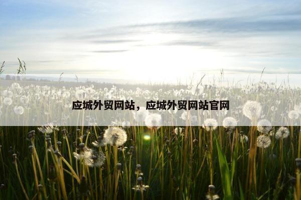 应城外贸网站，应城外贸网站官网