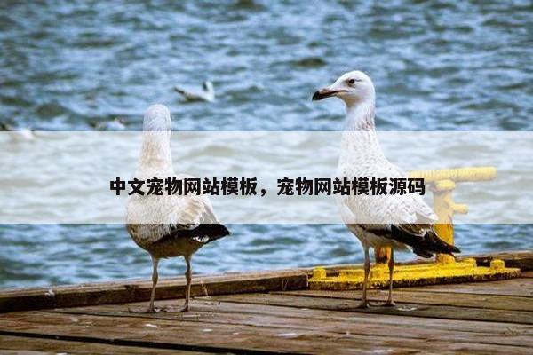中文宠物网站模板，宠物网站模板源码