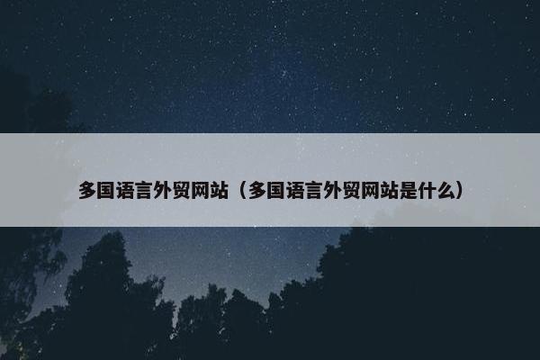 多国语言外贸网站（多国语言外贸网站是什么）
