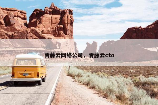 青藤云网络公司，青藤云cto