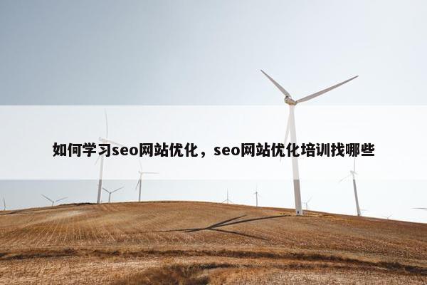如何学习seo网站优化，seo网站优化培训找哪些