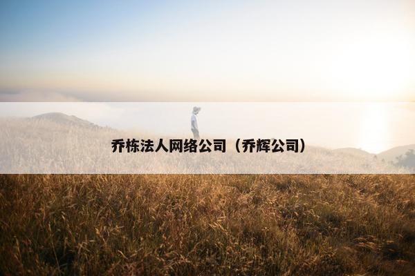 乔栋法人网络公司（乔辉公司）
