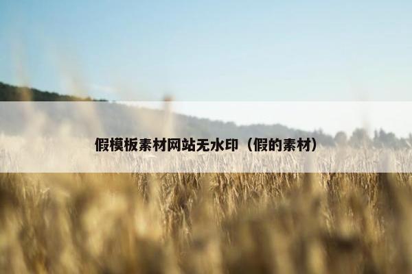 假模板素材网站无水印（假的素材）