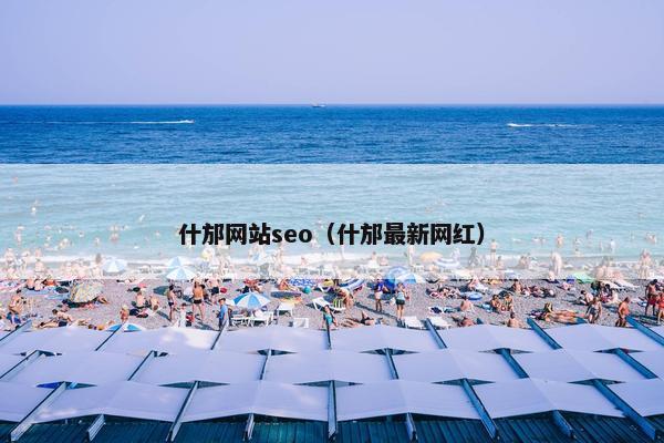 什邡网站seo（什邡最新网红）