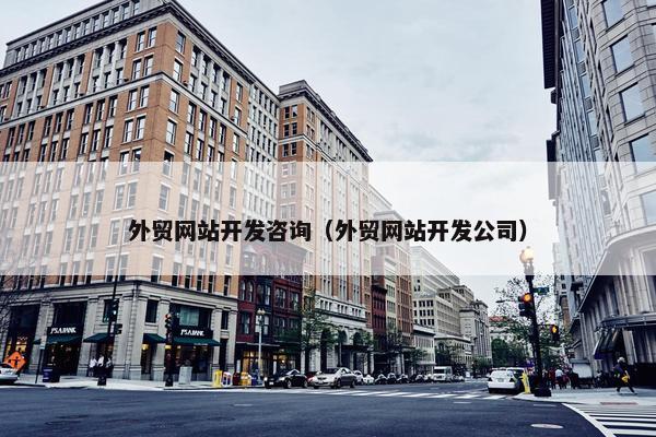 外贸网站开发咨询（外贸网站开发公司）