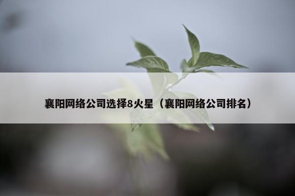 襄阳网络公司选择8火星（襄阳网络公司排名）