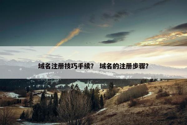 域名注册技巧手续？ 域名的注册步骤？