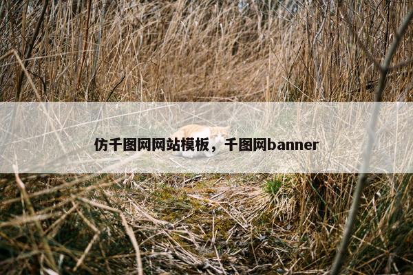 仿千图网网站模板，千图网banner