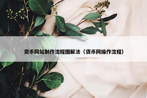 货币网站制作流程图解法（货币网操作流程）