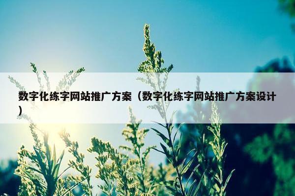 数字化练字网站推广方案（数字化练字网站推广方案设计）