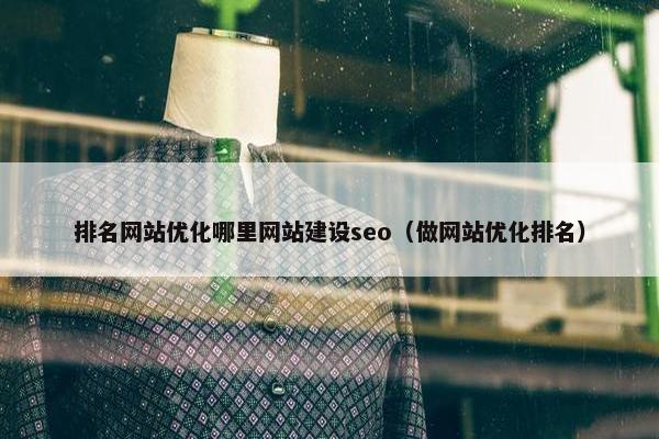 排名网站优化哪里网站建设seo（做网站优化排名）