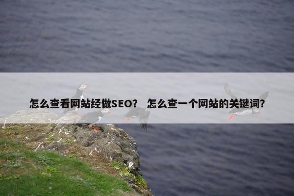 怎么查看网站经做SEO？ 怎么查一个网站的关键词？
