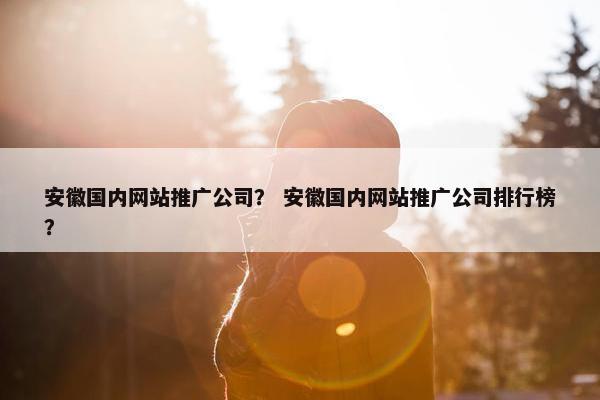 安徽国内网站推广公司？ 安徽国内网站推广公司排行榜？
