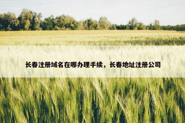 长春注册域名在哪办理手续，长春地址注册公司