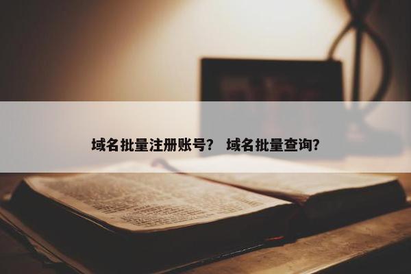 域名批量注册账号？ 域名批量查询？