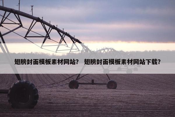 翅膀封面模板素材网站？ 翅膀封面模板素材网站下载？