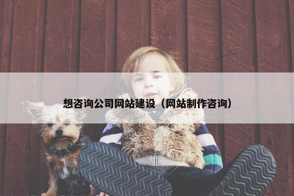 想咨询公司网站建设（网站制作咨询）