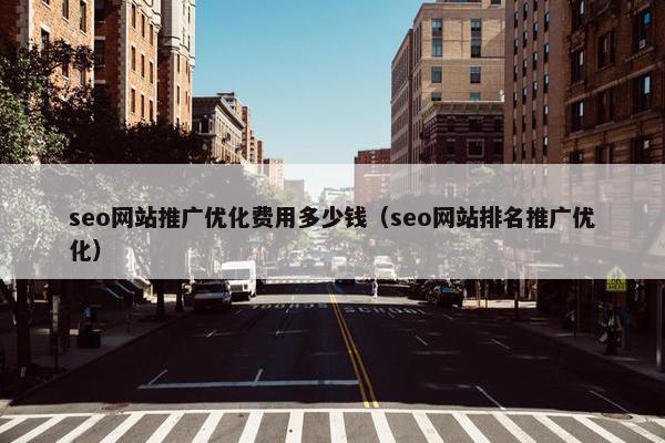 seo网站推广优化费用多少钱（seo网站排名推广优化）