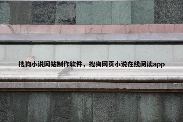 搜狗小说网站制作软件，搜狗网页小说在线阅读app