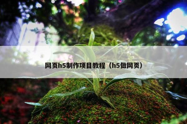 网页h5制作项目教程（h5做网页）