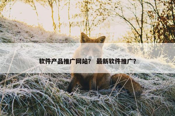 软件产品推广网站？ 最新软件推广？