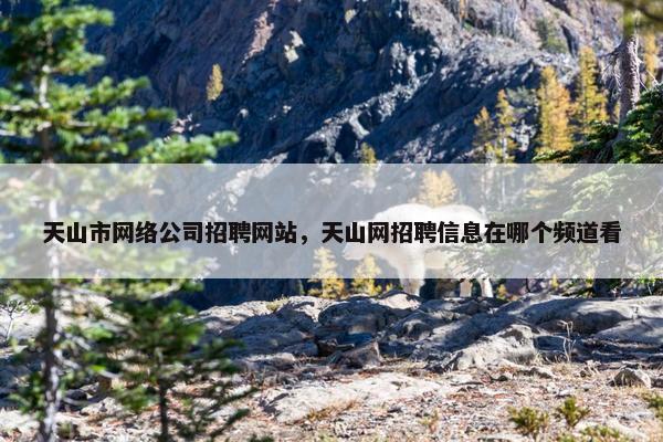 天山市网络公司招聘网站，天山网招聘信息在哪个频道看