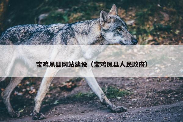 宝鸡凤县网站建设（宝鸡凤县人民政府）