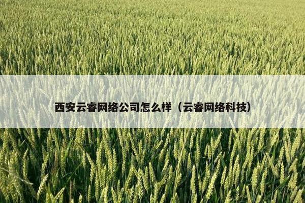 西安云睿网络公司怎么样（云睿网络科技）