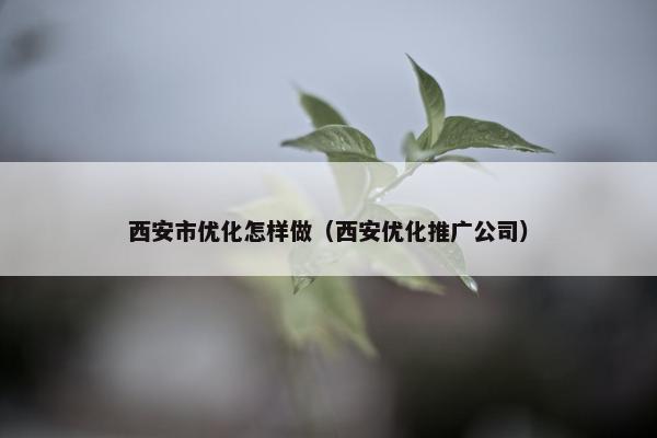 西安市优化怎样做（西安优化推广公司）