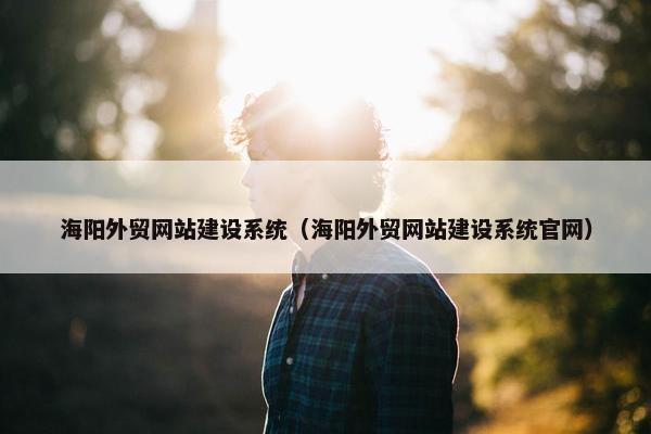 海阳外贸网站建设系统（海阳外贸网站建设系统官网）