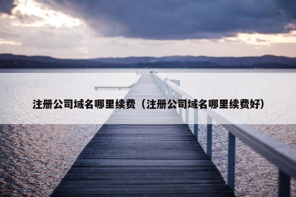 注册公司域名哪里续费（注册公司域名哪里续费好）