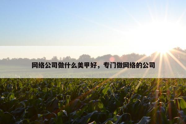 网络公司做什么美甲好，专门做网络的公司