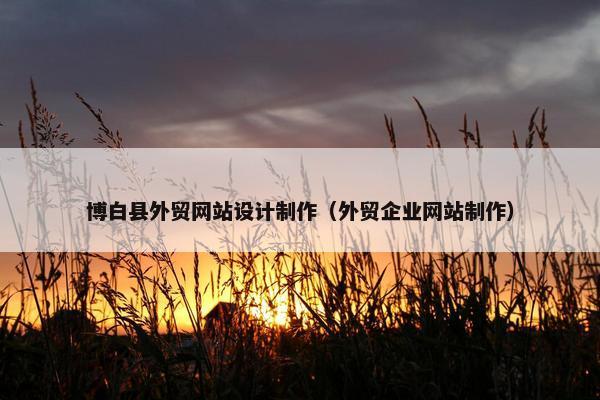 博白县外贸网站设计制作（外贸企业网站制作）