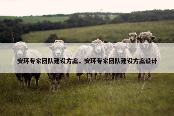 安环专家团队建设方案，安环专家团队建设方案设计