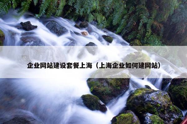 企业网站建设套餐上海（上海企业如何建网站）