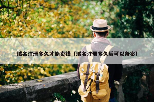 域名注册多久才能卖钱（域名注册多久后可以备案）