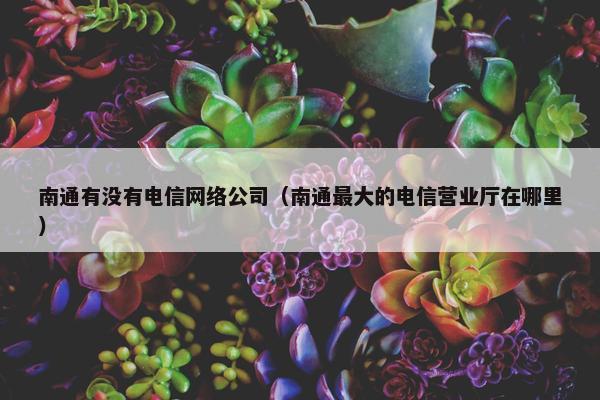 南通有没有电信网络公司（南通最大的电信营业厅在哪里）